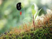扬州市智星通信科技有限公司