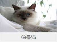 扬州市智星通信科技有限公司